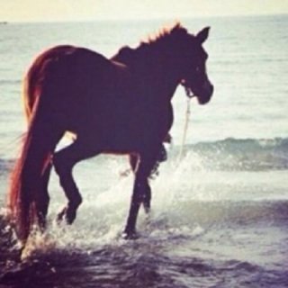 أبـوي:ستبقى شيئاً يستحيل على قلبي نسيانه رحمك الله عدد ما هزني الحنين لرؤيتك.