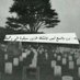 لأجلك جدي .. (@saidazara1) Twitter profile photo