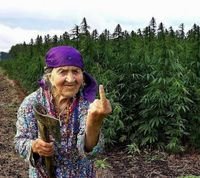 0Laetitiaa0's profile picture. BAAAOOOBAAAB.