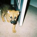 Daniel Fleet - @navyfleet - Twitter