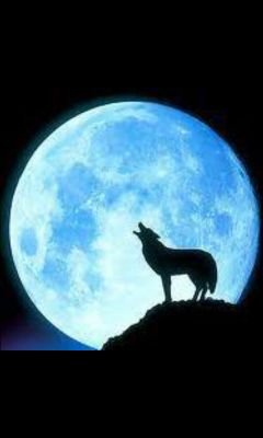 ‏الحمدلله.