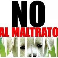 Activismo por los derechos de los animales. Difusion de animales