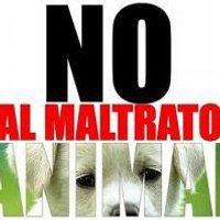 Inma I. Animalista (@inmaibanezr) 's Twitter Profile