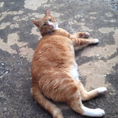 kdgerspacher's profile picture. 