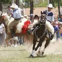 roque Rios Schulz - @riosschulz - Twitter