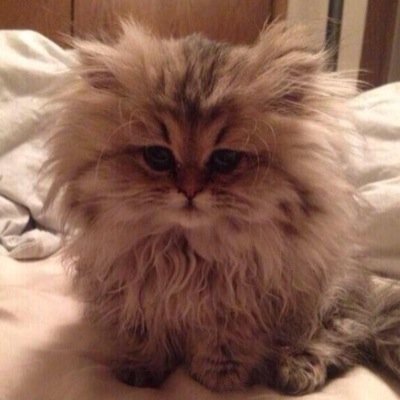 invisiwhat's profile picture. Funny one liners