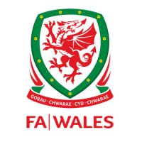 The Bridgend FA (@thebridgendfa) 's Twitter Profile