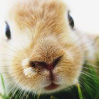 ちゃっぴー (@masahiroaha__n) Twitter profile photo