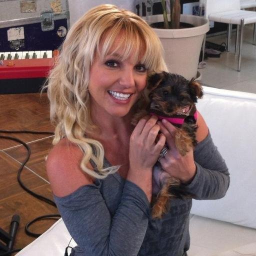 I'm Britney's Bitch! Mommy's new single #MakeMe featuring G-Eazy now available: https://t.co/lXifrRiYic (Twitter fans of Hannah)
