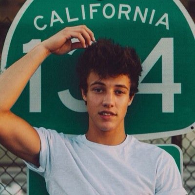 Follow @smileforcameron for help during follow sprees (: