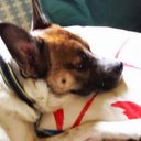 regina mathis - @corinna12370 - Twitter