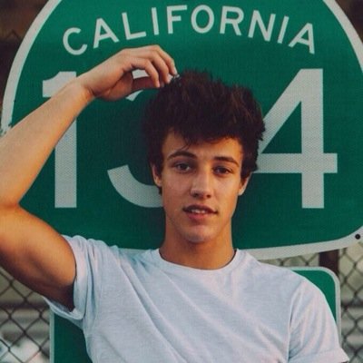 Follow @smileforcameron for help during follow sprees (: