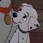 #single im Dolly i love to play fetch and hang with my friends and im in love with @Bolt_TSuperDog im also homless