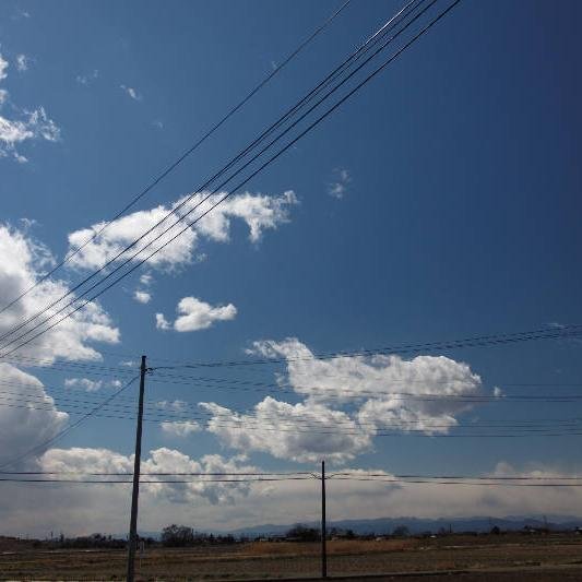 haru_flute's profile picture. フルートが吹けたりします。
仕事と全く関係ないですが登録販売者試験合格してます。
クリスチャンです。イムマヌエル綜合伝道団。