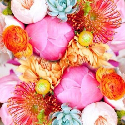 katie_shaw's profile picture. 