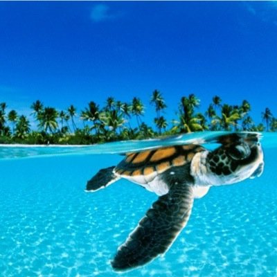 ResolveAU's profile picture. 