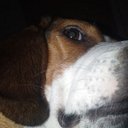 Donald Deyo - @deyos664 - Twitter