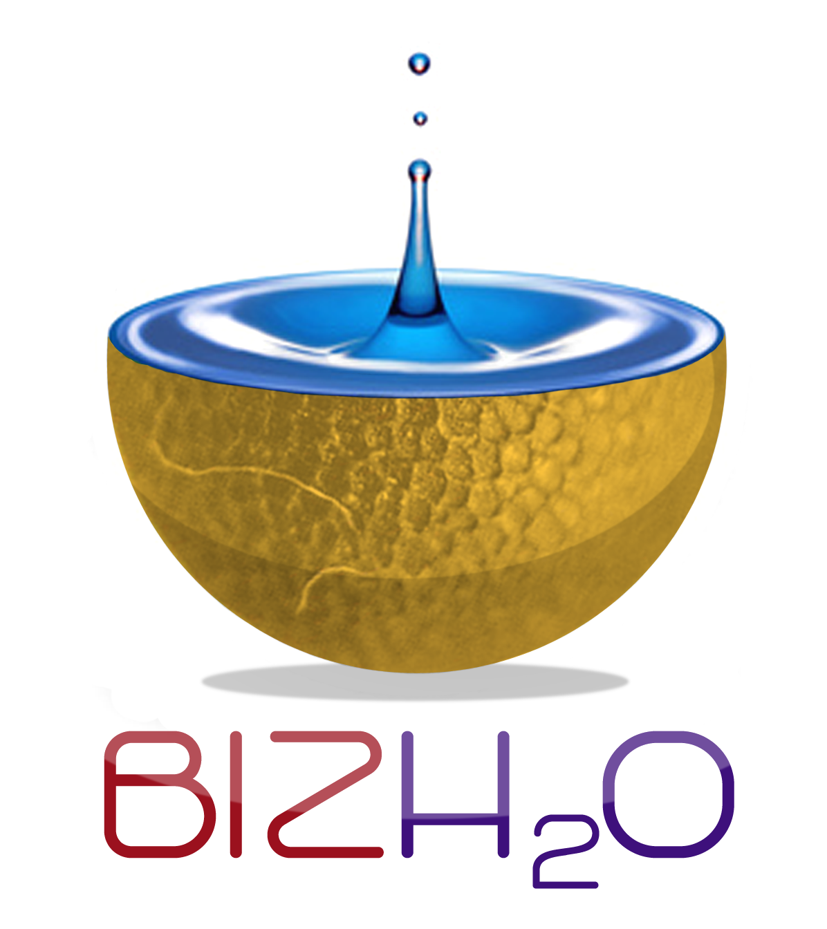 BIZH2O is a website which features latest updates and insights about business, accounting, social media, and more. It is an affiliate of @mseedsys