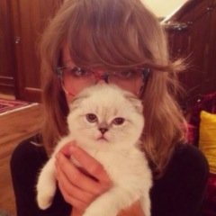 Iordefalsa's profile picture. 