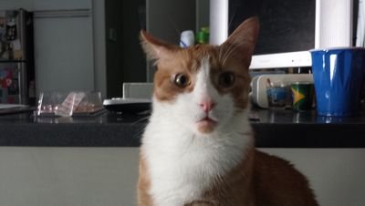 cmotterpop's profile picture. 