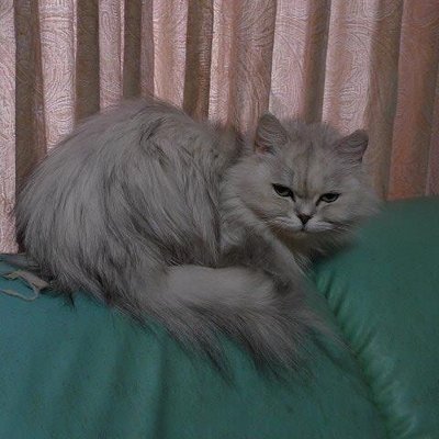 Kiyoshiroo