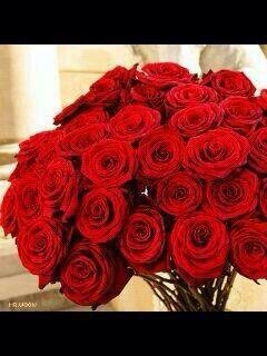 ‏‏‏‏‏‏‏‏‏لو كان الإنسان يستغفر أكثر مما يشتكي، لوجد راحته قبل أن يشتكي.♡     لا اله الا الله محمد رسول الله ♡انستقرام:Daadoo505.        ♡ هلاليه وكلي فخر #