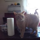 Beverley Nelson - @bbnelson99 - Twitter