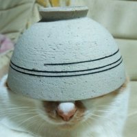take (@my0729m) 's Twitter Profile