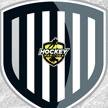 Member of the Manitoba Hockey Hall Of Fame , inducted Oct 2024. Hockey Manitoba Ref-in-Chief 1997/2002 . Member of #Team Stripes since 1972. From Flon Flon Mb.