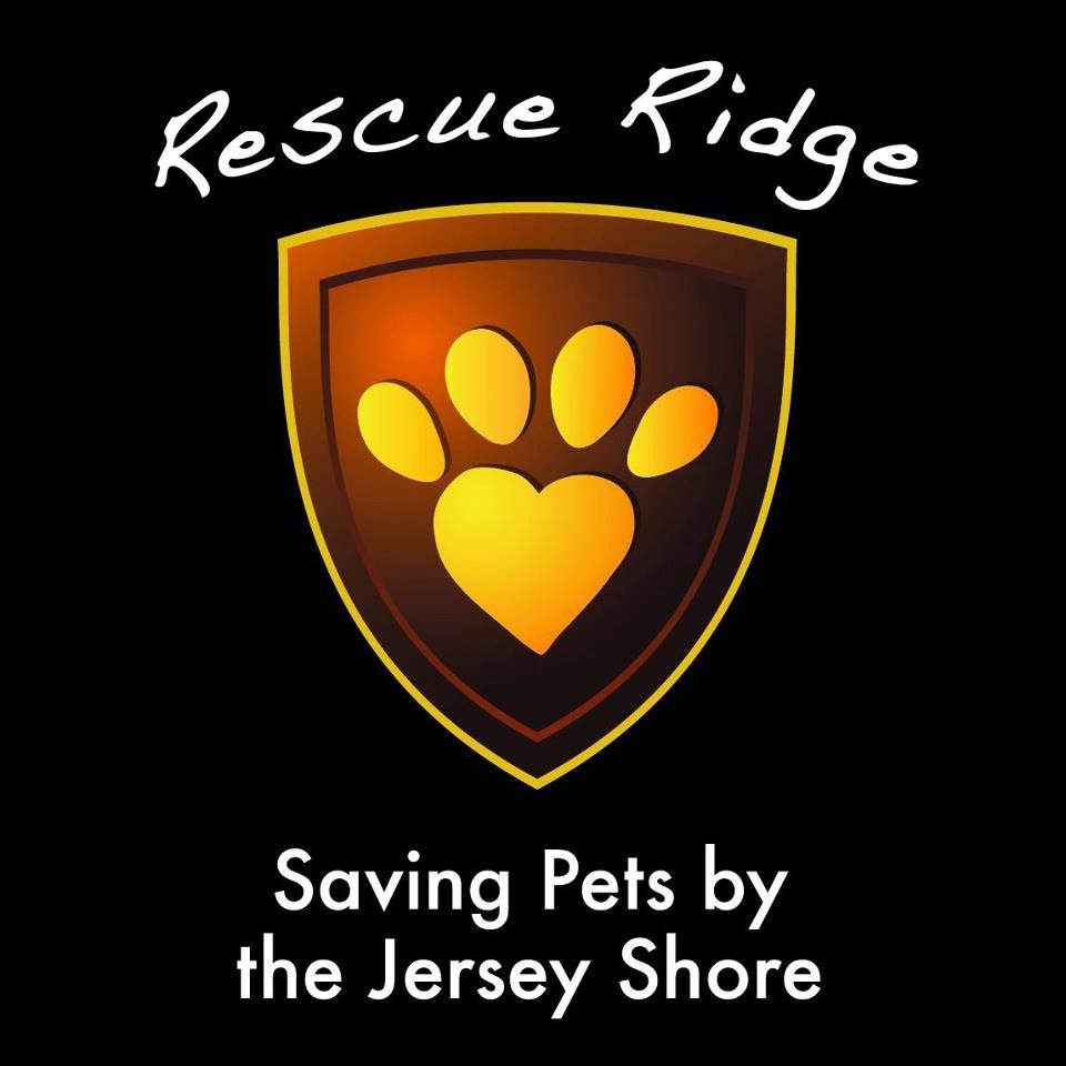 Rescue Ridge is a last-chance rescue. We find homes for animals that shelters and people have given up on.