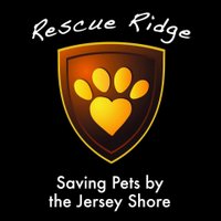 Rescue Ridge(@rescueridge) 's Twitter Profile Photo