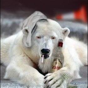 Bear and Drunk gmail
Bear.and.Drunk@gmail
Hi im Drunk