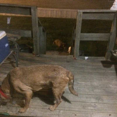 bigike6949's profile picture. 