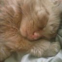 Beverly Mead - @bmead1222 - Twitter