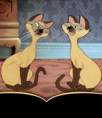 Rol de dibujos. Somos una pequeña gran familia. Cualquier dibujo es admitido. ¿Quieres unirte? ¡Mención o DM! No hay terminación, pero sí HT #WonderRol.