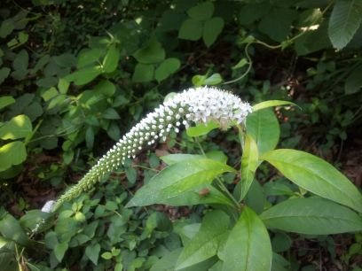 7e402d7441b141c's profile picture. 