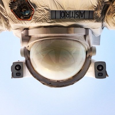 SonOfMon1's profile picture. 