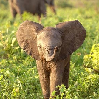 SaeganAnderson's profile picture. 