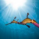 Beverly Sanchez - @Bev_Sanchez - Twitter