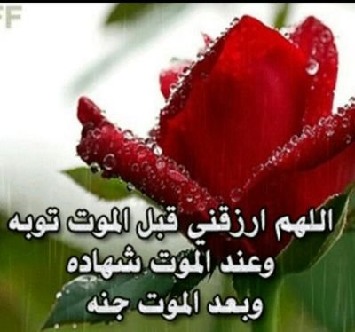 ‏اللهم ارزقني قبل الموت توبه وعند الموت شهاده وبعد الموت جنه ولجميع المسلمين والمسلمات يارب العالمين