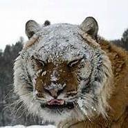 abwagner98's profile picture. 