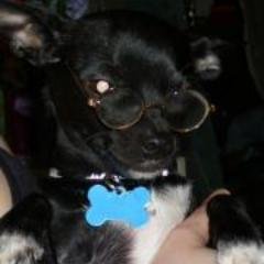 I'm an imp of a pup and the librarian of Helheim. I want to be evil. I want to spit tacks. I want to sing songs like the guy who cries.