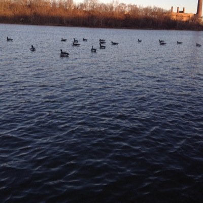216_team Profile Picture