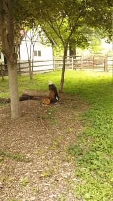 ddpstc's profile picture. 