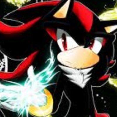 Please to meet u im shadow the hedgehog im a king and sometimes i wear my crown #single