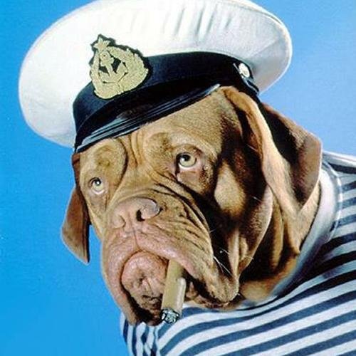 Jase_Kyle's profile picture. keeping it oonst since nineteen oonsty oonst