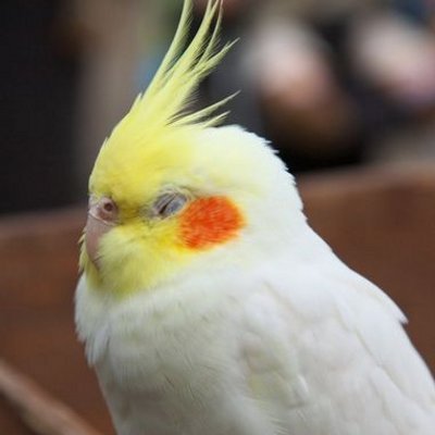 ネタ話をつぶやくよ。 報告なくネタを拡散する可能性があります。
そんなことはありません。