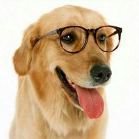 Dan Aych (@dan_ache) 's Twitter Profile