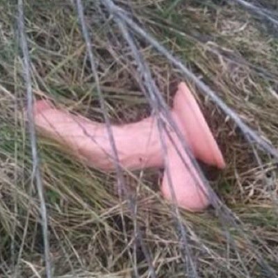 Found a dildo Shaved and over 50