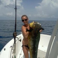 Bailey (@bailey_wtf) 's Twitter Profile